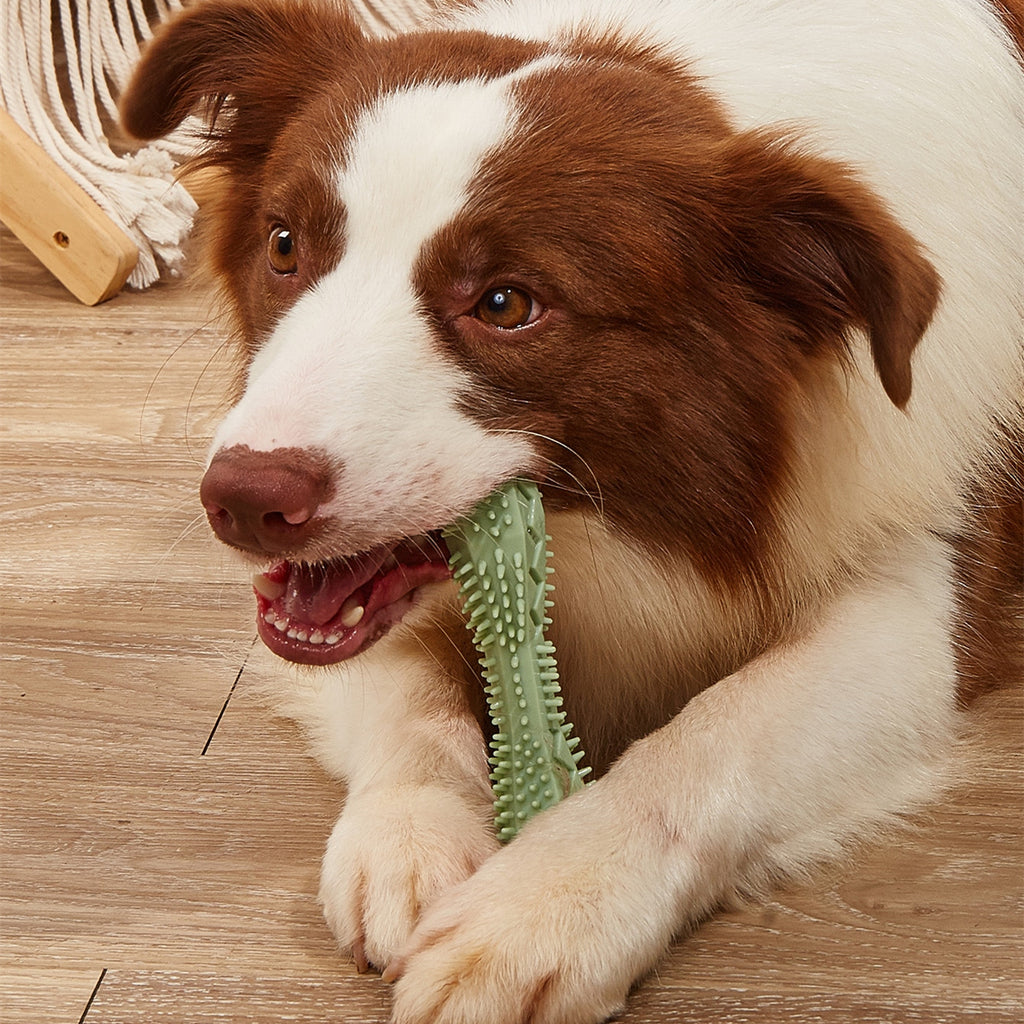 Dog Dental Chew Toy – Teeth Cleaning & Stress Relief Stick