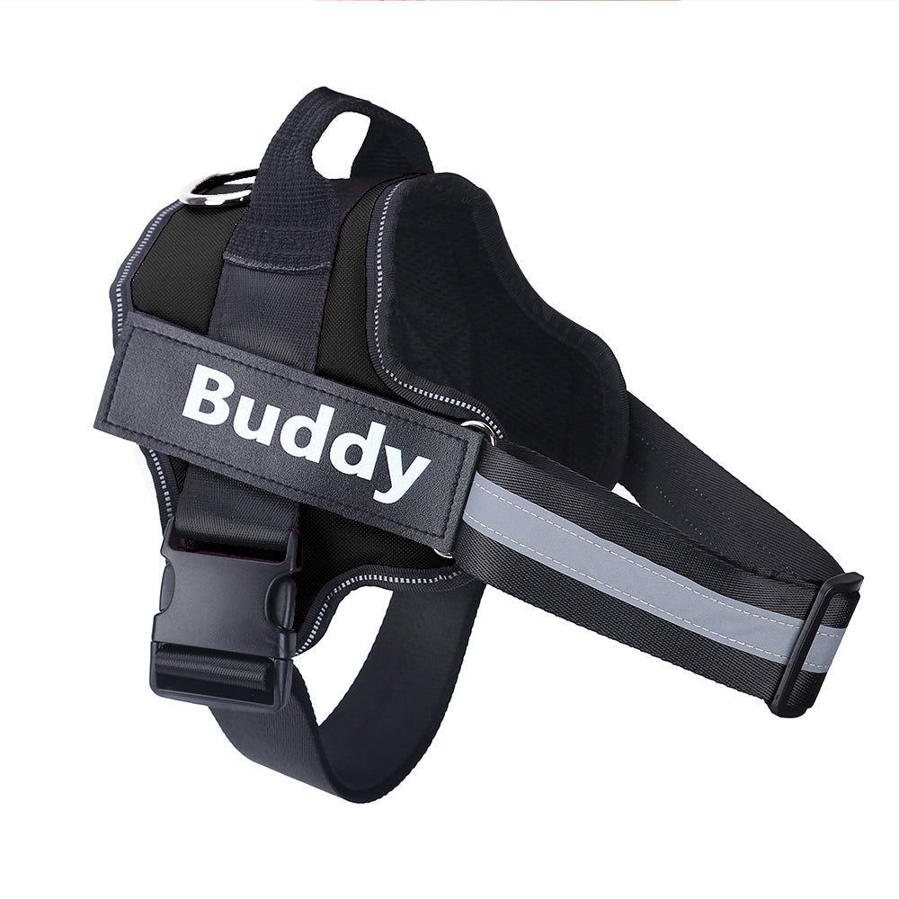 Personalized Dog Harness – Custom Name & Maximum Control