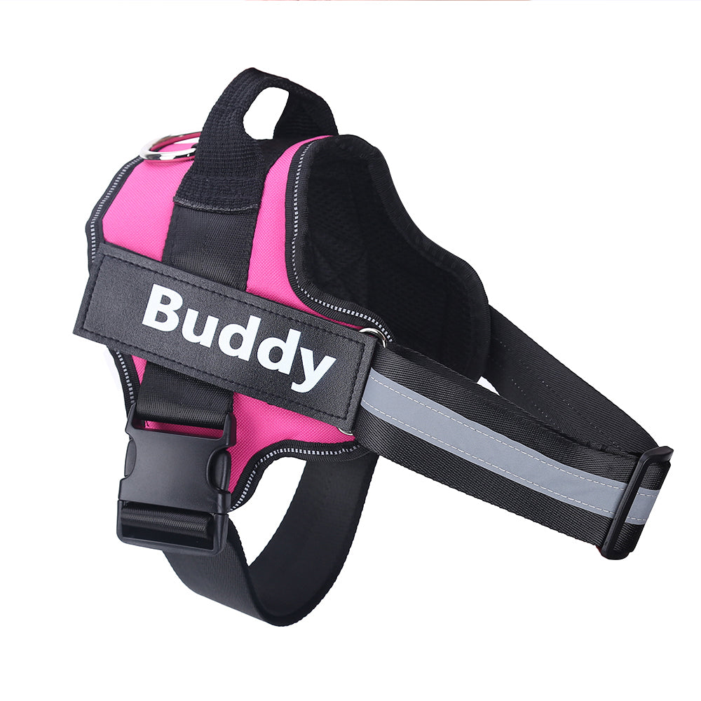 Personalized Dog Harness – Custom Name & Maximum Control