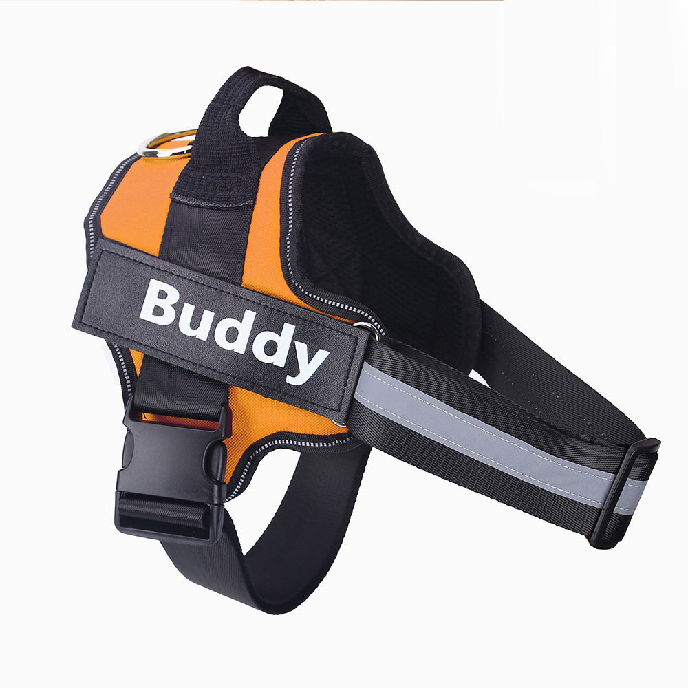 Personalized Dog Harness – Custom Name & Maximum Control