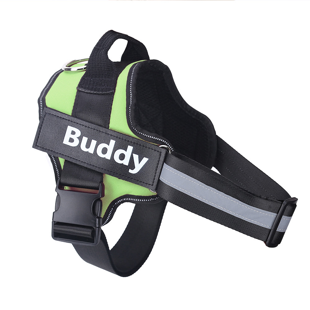 Personalized Dog Harness – Custom Name & Maximum Control
