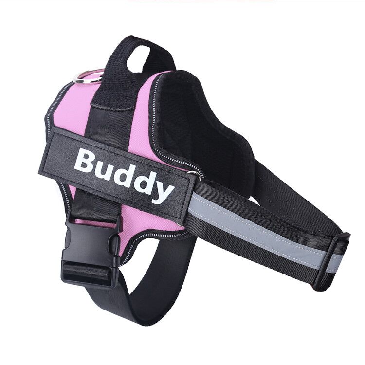 Personalized Dog Harness – Custom Name & Maximum Control