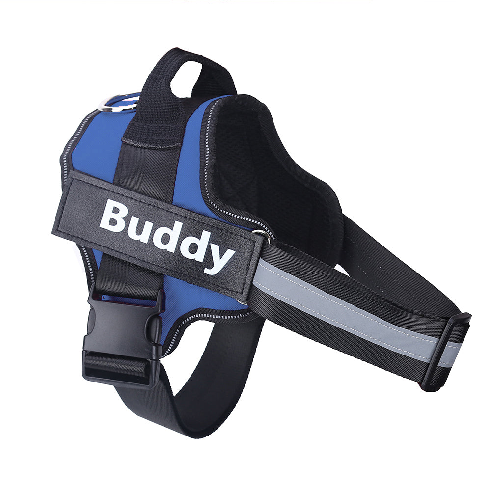 Personalized Dog Harness – Custom Name & Maximum Control