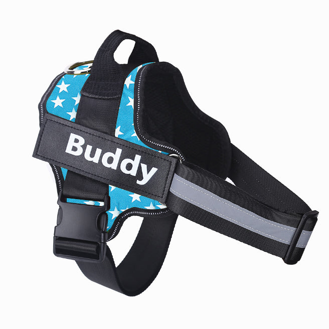 Personalized Dog Harness – Custom Name & Maximum Control