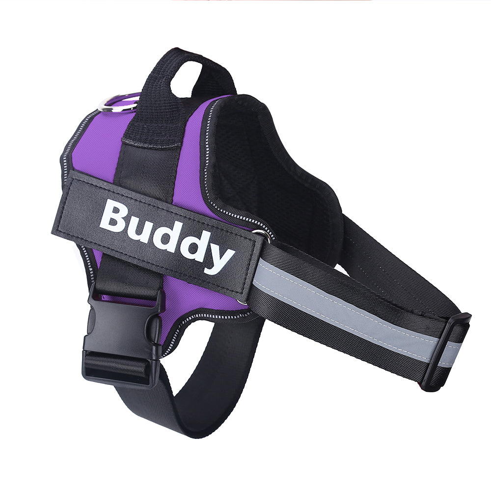 Personalized Dog Harness – Custom Name & Maximum Control