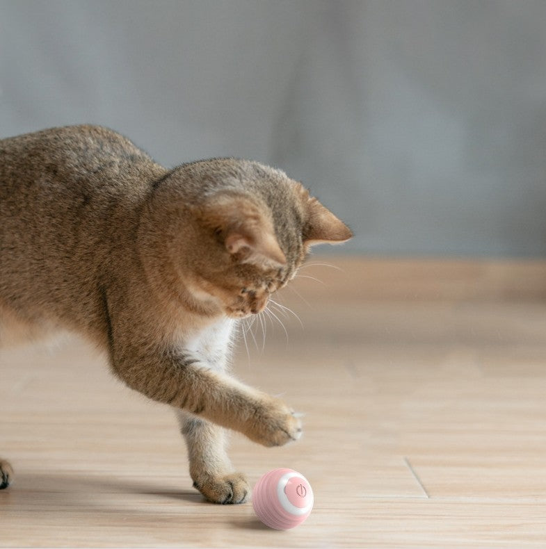 Smart Silicone Cat Toy Ball