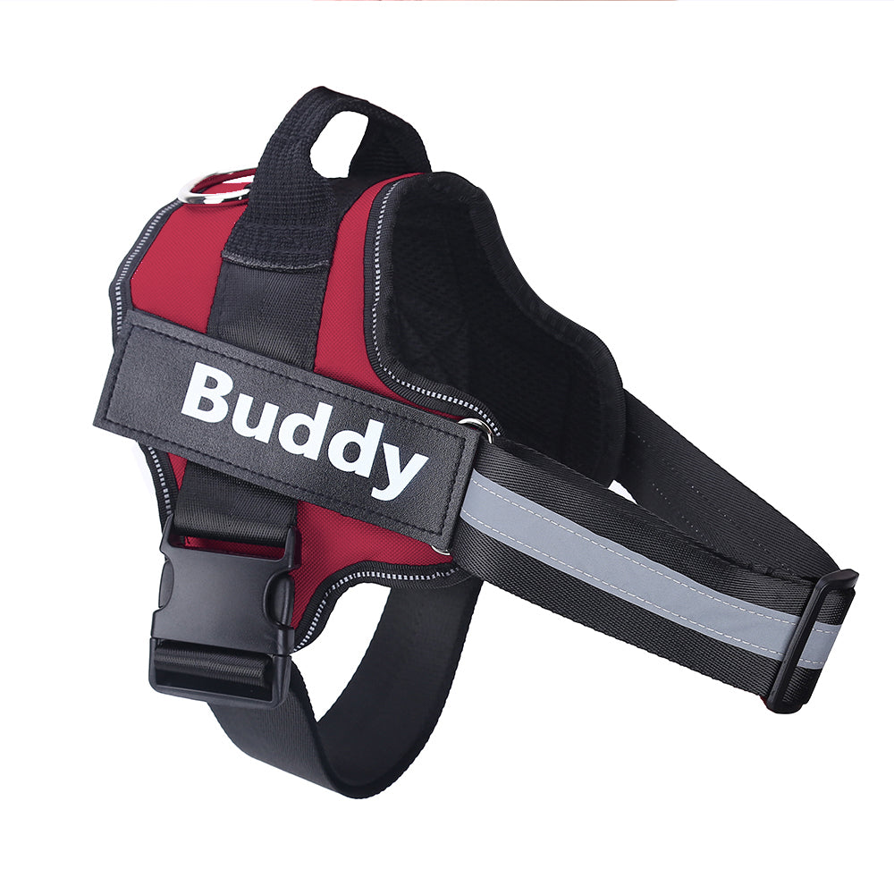 Personalized Dog Harness – Custom Name & Maximum Control
