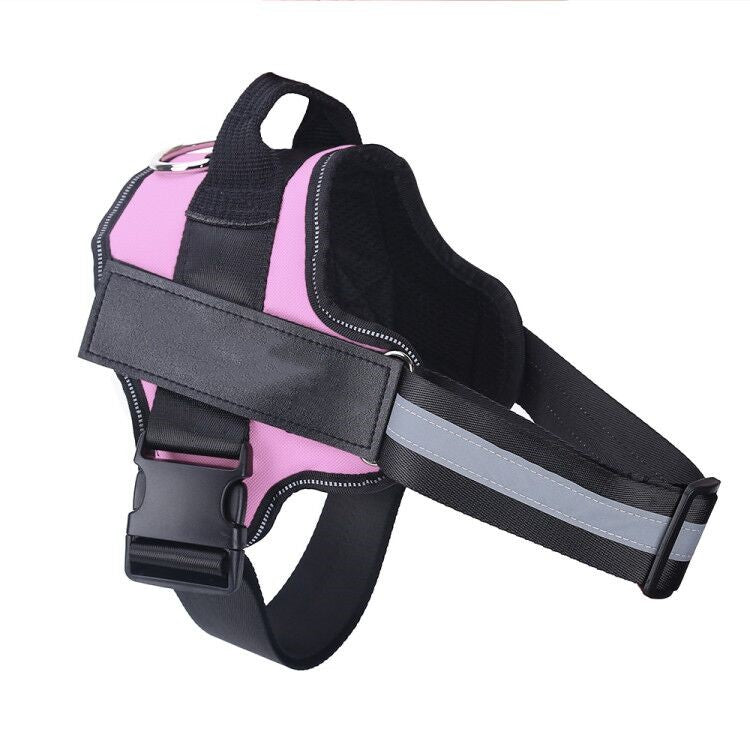 Personalized Dog Harness – Custom Name & Maximum Control