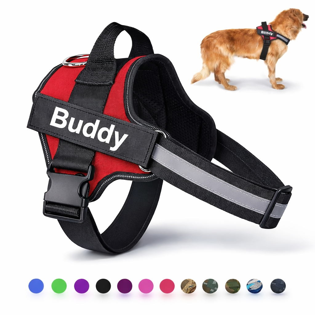 Personalized Dog Harness – Custom Name & Maximum Control
