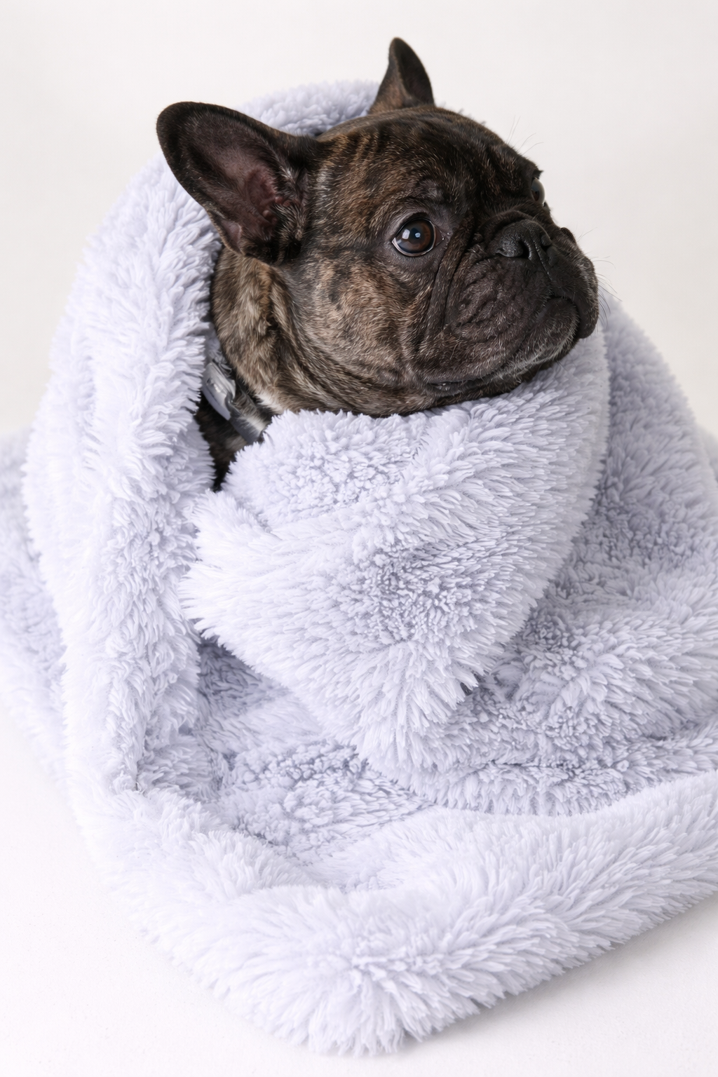 Cozy Plush Pet Mat