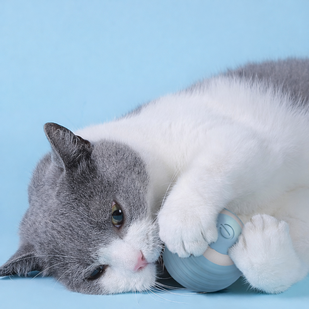 Smart Silicone Cat Toy Ball