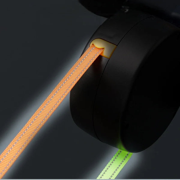 Tangle-Free Dual Dog Leash