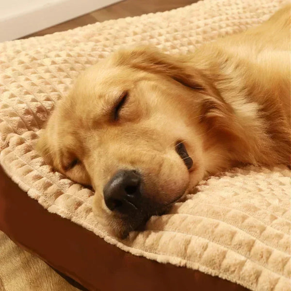 Cozy Companion Pet Bed